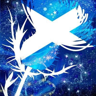 Scottish artist 🎨 I love creating artwork in my own unique style. Affordable, unique artwork for your home.