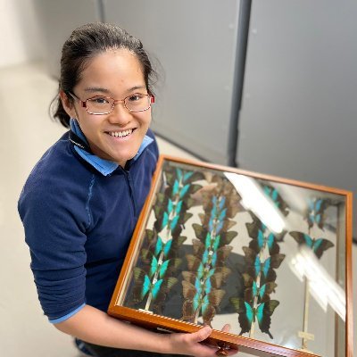PhD Student @AnthropoceneBio @UniofYork & @NHM_London.
Using museum collections to understand long-term biodiversity change and inform conservation 🦋