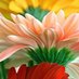 Laura 2744 (@laura2744) Twitter profile photo