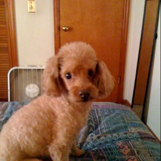 Slwoodruff's profile picture. 