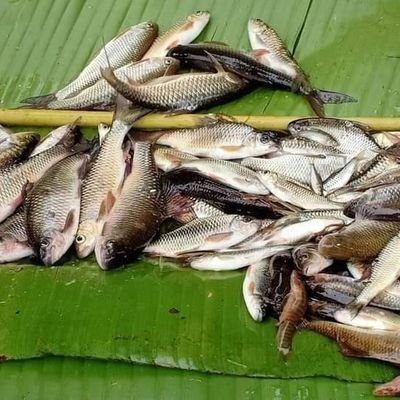 CChotun's profile picture. 0624576995