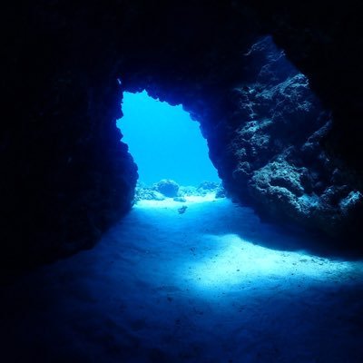職業:建築構造設計 免許・資格:一級建築士/構造設計一級建築士/JSCA構造士/APECエンジニア 趣味:ゴルフ、スキューバダイビング、京都市