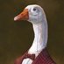 Just Having A Gander 🇬🇧 (@just_gander) Twitter profile photo