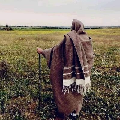 مدرب قيادة وتربية وتصميم وصناعة البرامج والحقاءب التدريبية وفق معايير التدريب العالمية