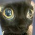 b (@brian7ully) Twitter profile photo b (@brian7ully) Twitter profile photo
