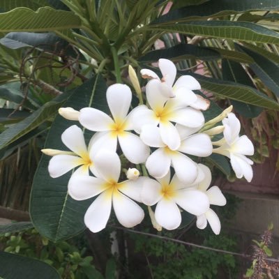 Life is short. Treasure every moment. Help the needy. Be selfless. Show kindness to all living beings.