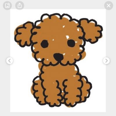 愛犬なつとタバコのポイ捨てを拾いながらお散歩してます🐾ゴミ拾いで繋がる輪を大切にしたいです✨