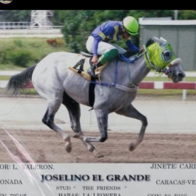 Amo los caballos 100% venezolano 🇻🇪🇻🇪 Jockey profesional 🐎🐎🐎