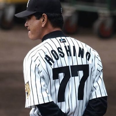 ニャンコの大将🐯10/19甲子園