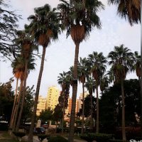 أميره هانى (@amyrhhany3) Twitter profile photo