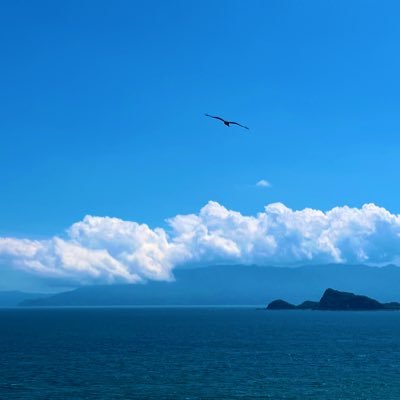 気楽に、質素に、朗らかに生きるよう、心掛けています。🇯🇵