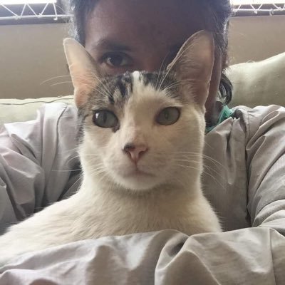 HijaDeSastre's profile picture. Corredora, montañista, atea pero respeto la libertad religiosa, luriganchina, 1/2 rimense, con gatijos.