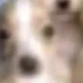 CryptoGiveaway Profile