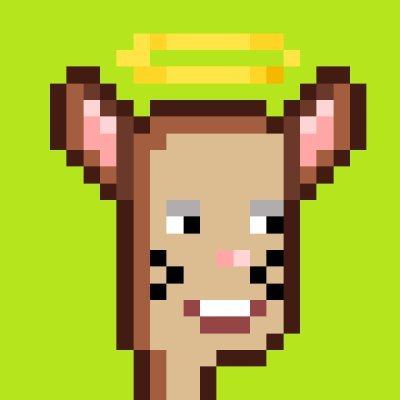 zhengstaさんのプロフィール画像