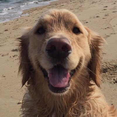 jpg372's profile picture. 