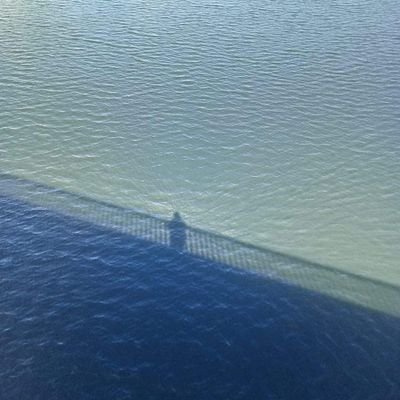 tpm184's profile picture. 