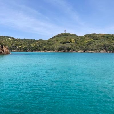 sasasan2020's profile picture. 写真がどこに消えた。