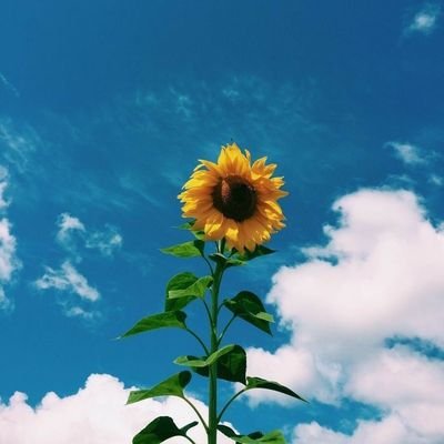 Lavynha7's profile picture. que falte tudo,menos deus 🙏♥️