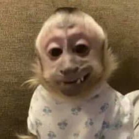 nouddly's profile picture. cuenta para mis pics