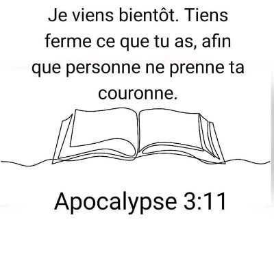 Chivanos06's profile picture. Réalité de l'Apocalypse et les vérités cachées qui ne peuvent être interprétés que par le témoignage en Jésus Christ étant l'esprit réel de la prophétie de Jean