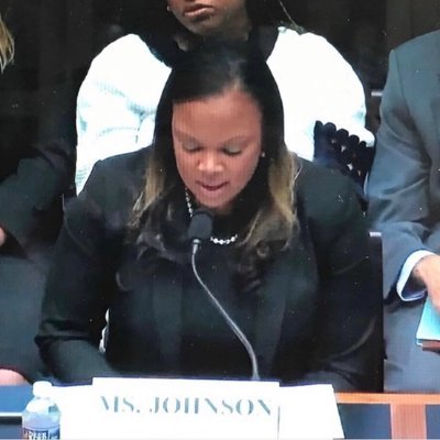 The Honorable Kristin N. Johnson Profile