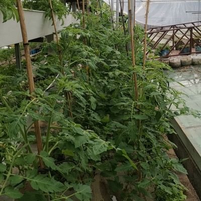 fMkVkOuUSKIuqkW's profile picture. 贵州省贵阳市