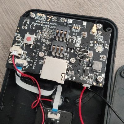 scarvalloi's profile picture. 