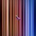 Broflix (@netflixandbate) Twitter profile photo Broflix (@netflixandbate) Twitter profile photo