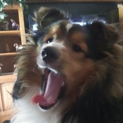 jdavebrinkley's profile picture. Working Hard getting my health back
T.A.V.R. Heart Alumni FirstResponder OklaCity Murrah Building & Ground Zero Chaplin. Patriot, Love the Lord & USA 🇺🇸