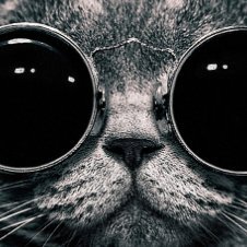 Software Developer:
Website: (https://t.co/oCUd3Nr1Ne)
Github: (https://t.co/EjGj7hkPUZ)