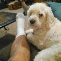 Edward Garth (@edwardgarth9) 's Twitter Profile