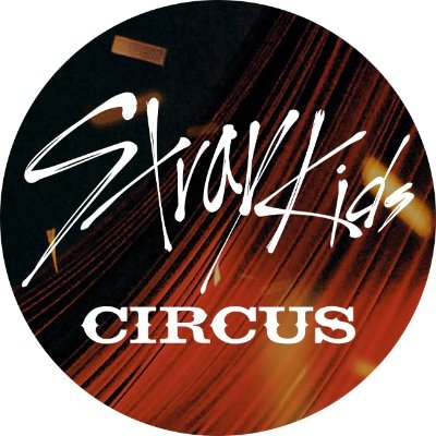 Visit Stray Kids Japan Official Profile