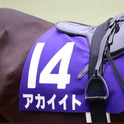 競馬好き、アニメ好き、お酒大好き。パチンコ、パチスロも好きです！
色々な人の予想を眺めたり、参考にさせてもらったりします。お子さんの写真とか癒されますので、勝手にいいね👍してます。

良かったら仲良くしてやって下さい！