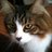 ilovetofuzz's profile image