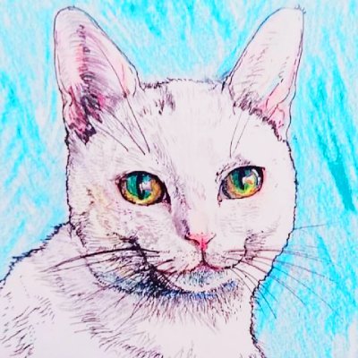 猫竹さんのプロフィール画像