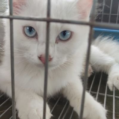 Ipul17370624's profile picture. 