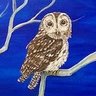 chelena_victor's profile picture. Retired, Artist, Investor-Meta ape #MMTLP