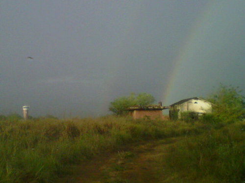 sologamez's profile picture. 