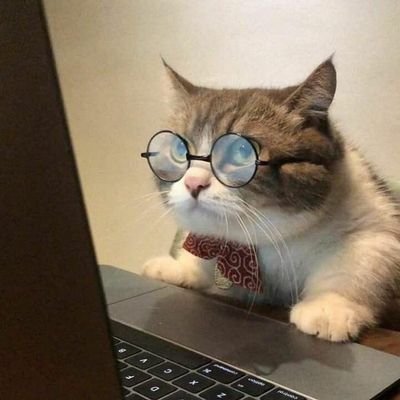 chiup_ha5fa's profile picture. 개발자 지망 비전공자!
백엔드/국비수료중/모르는게 많아요