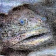 vivivinva's profile picture. 