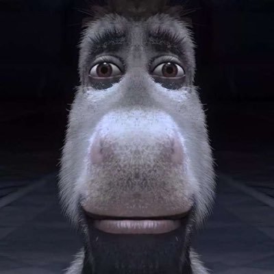 rcpeer4990's profile picture. Free. $LRC $GME