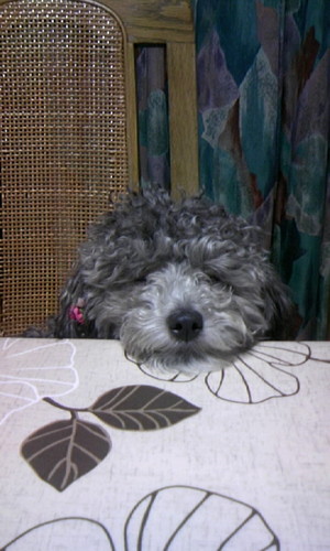 k0yasu's profile picture. 帝塚山中高、関学卒、現在通信の会社で営業？の仕事をしてる…と思う。