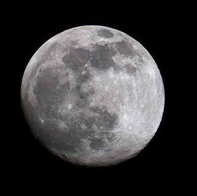 Fareed55556's profile picture. Realist/Secular/want.to.be.astronut