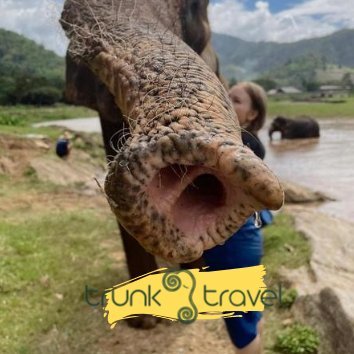 If you have a passion, or even an interest, in travelling to Thailand, let our team lead you to unexplored locations on an unforgettable adventure ❤️🇹🇭