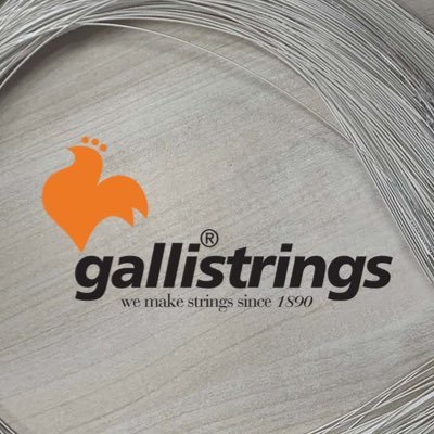 Strings & accessories for guitar,bass and other instruments Made Italy