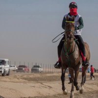 محمد بوهزاع (@_mbuhazza24) 's Twitter Profile
