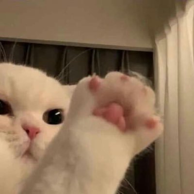 鰆さんのプロフィール画像