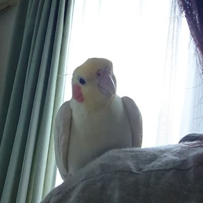 ボーっとしてます/ピアノ弾きます/駅伝観戦/読書/夜更かし/旅(国内)/手帳/2025-2026はハイドンとラヴェルから/ケイトリウ/エフゲニボジャノフ/BE:FIRST/HANA/シューマンとブラームスとシューベルトとベートーベンとバッハが好き。