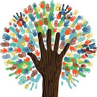 Culture & Diversity in Orthopaedics North West (@ediorthonw) 's Twitter Profile