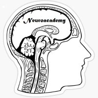 Neuroacademy (@neuroacademy1) 's Twitter Profile